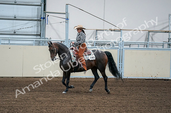 2020 - AB Morgan Horse - Fri, Sept 04 - 00403