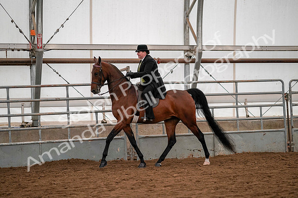 July 19, 2019 - 10271