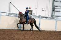 2020 - AB Morgan Horse - Sat, Sept 05 - 08527