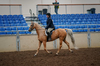 2019 Morgan Horse Show - Aug 30, 2019 - 22172