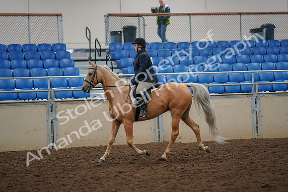 2019 Morgan Horse Show - Aug 30, 2019 - 22172
