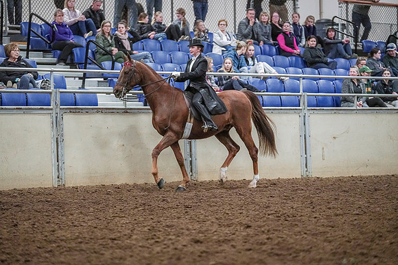 Spring Fling - Saturday - April 20, 2019  -  04314