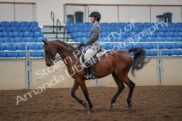 2019 Morgan Horse Show - Aug 30, 2019 - 23459