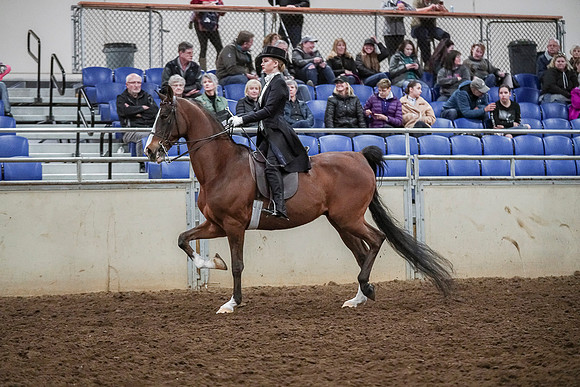 Spring Fling - Saturday - April 20, 2019  -  04401