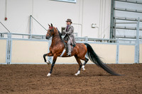 2020 - AB Morgan Horse - Sat, Sept 05 - 12091