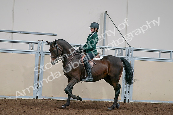 2020 - AB Morgan Horse - Sat, Sept 05 - 05050