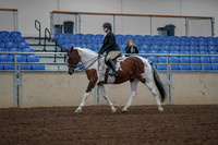 2019 Morgan Horse Show - Aug 30, 2019 - 14865