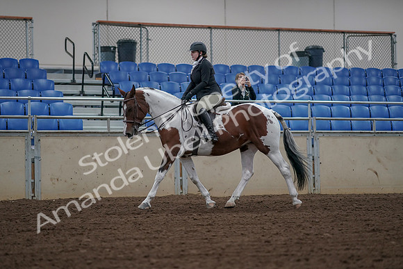 2019 Morgan Horse Show - Aug 30, 2019 - 14865