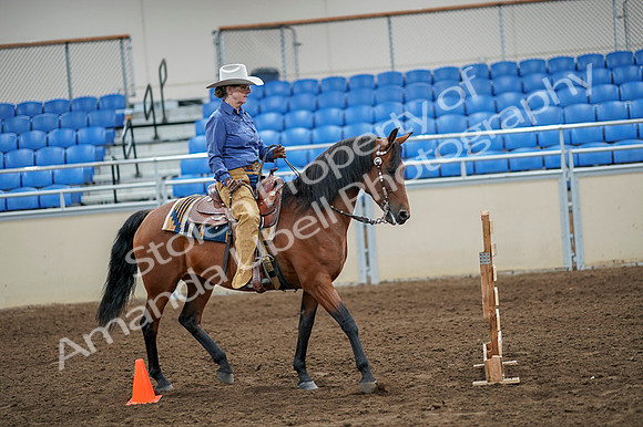 2020 - AB Morgan Horse - Fri, Sept 04 - 00288