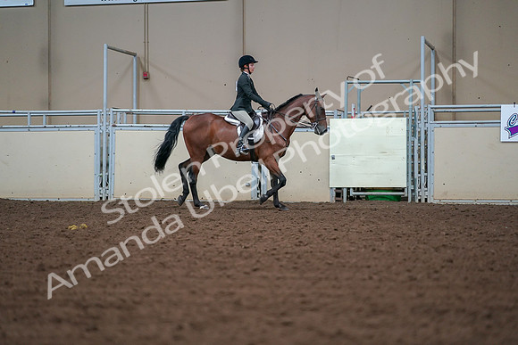 2019 Morgan Horse Show - Aug 30, 2019 - 20858