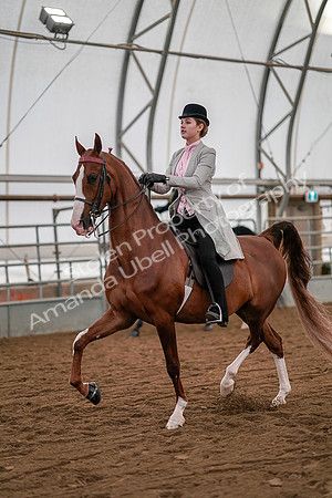July 19, 2019 - 10260