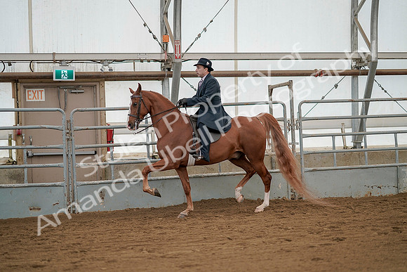 July 20, 2019 - 02086