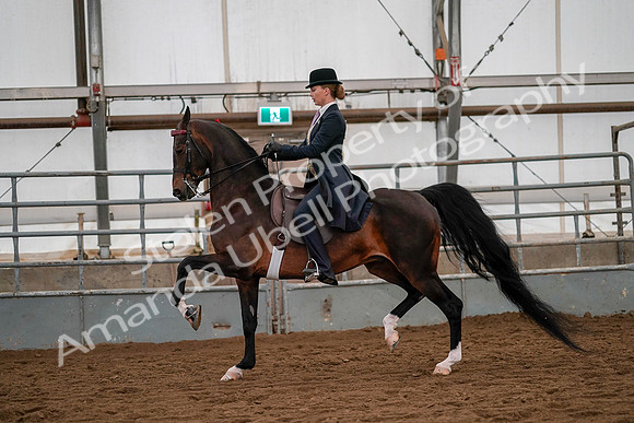 July 19, 2019 - 10557