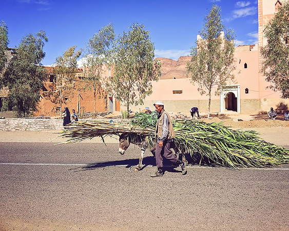 Morocco - 097