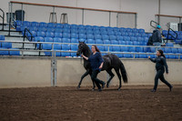 2019 Morgan Horse Show - Aug 31, 2019 - 00498