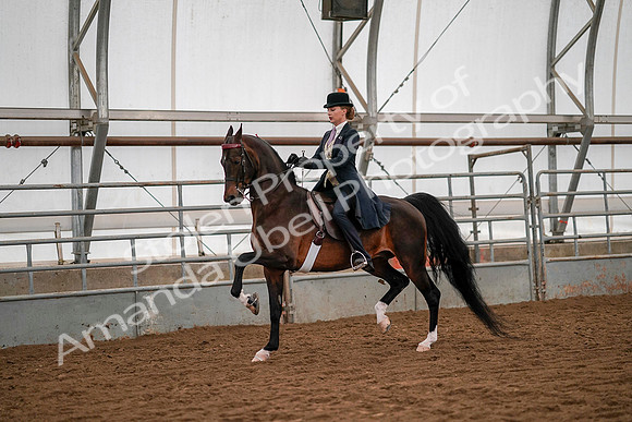 July 19, 2019 - 10528