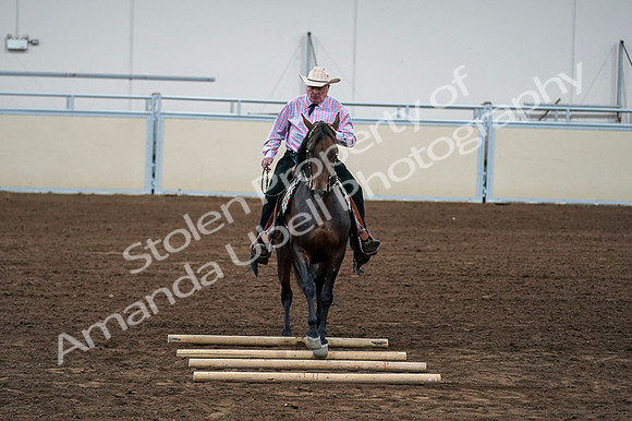 2020 - AB Morgan Horse - Fri, Sept 04 - 00576