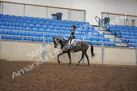 2019 Morgan Horse Show - Aug 30, 2019 - 12254