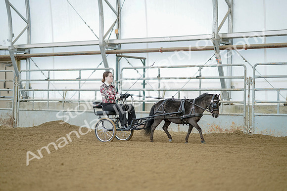 July 21, 2019 - 08336