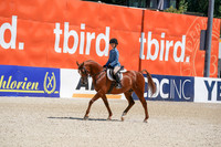 171 - Eng-Country-Hunter Walk Trot