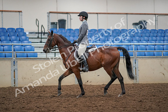 2019 Morgan Horse Show - Aug 30, 2019 - 23203