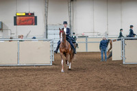 2020 - AB Morgan Horse - Sat, Sept 05 - 11355