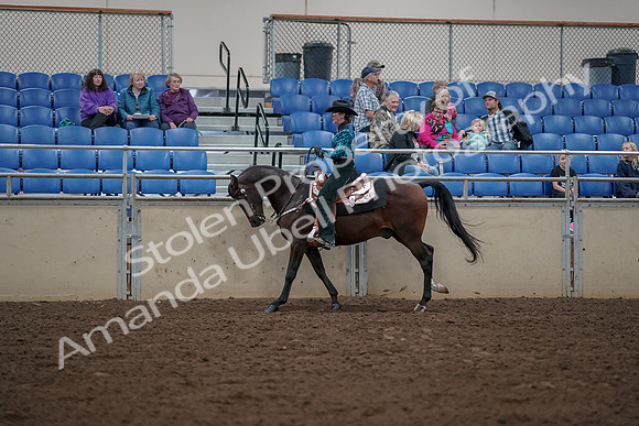2019 Morgan Horse Show - Aug 30, 2019 - 26058