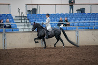 2019 Morgan Horse Show - Aug 31, 2019 - 09232