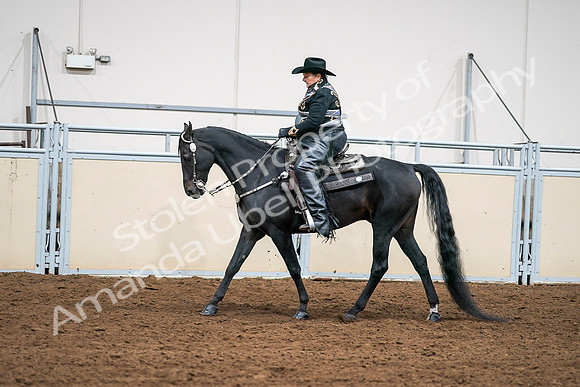 2020 - AB Morgan Horse - Sat, Sept 05 - 08906