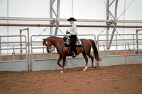 Class 053 - Morgan Western Pleasure - Junior Exhibitor