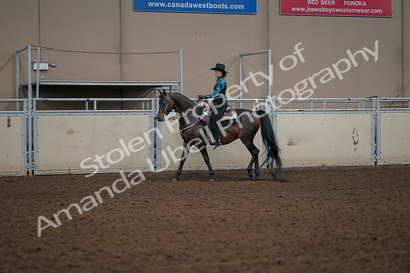 2019 Morgan Horse Show - Aug 30, 2019 - 26115