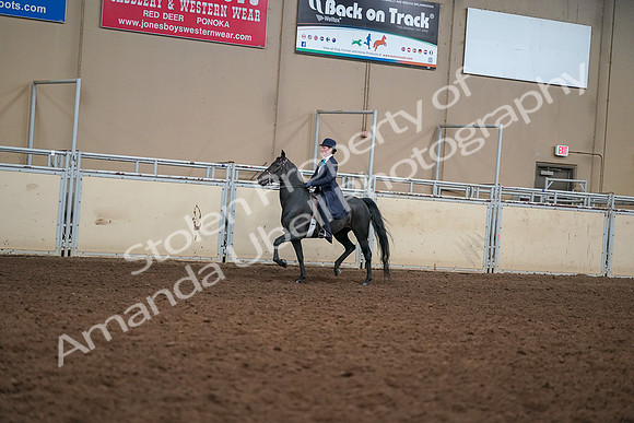2019 Morgan Horse Show - Aug 30, 2019 - 12217