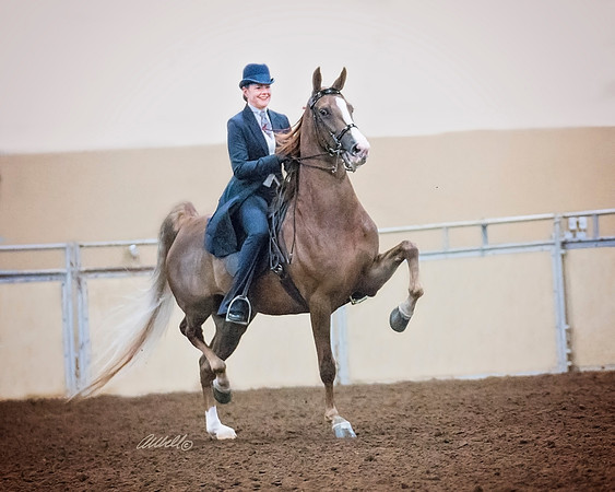 Tomanek - Spring Fling 2018 Sat PM Amanda - 00222