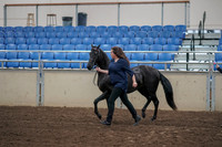 2019 Morgan Horse Show - Aug 31, 2019 - 00509