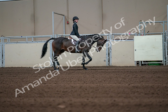 2019 Morgan Horse Show - Sept 01, 2019 - 03853