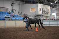 2019 Morgan Horse Show - Aug 31, 2019 - 02100