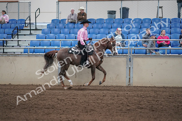 2019 Morgan Horse Show - Sept 01, 2019 - 07054