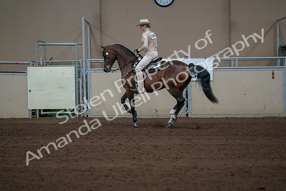 2019 Morgan Horse Show - Sept 01, 2019 - 06968