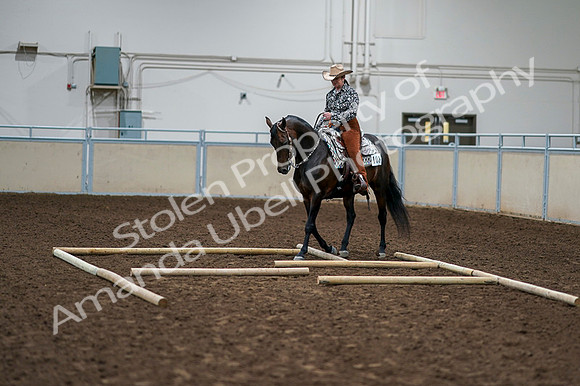 2020 - AB Morgan Horse - Fri, Sept 04 - 00367