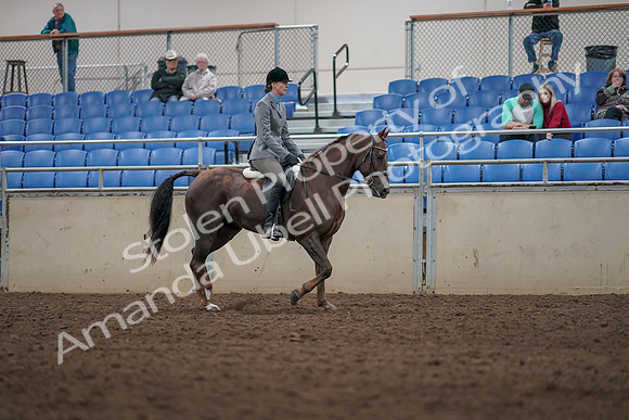 2019 Morgan Horse Show - Aug 31, 2019 - 07421