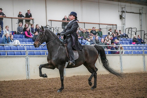 Spring Fling - Saturday - April 20, 2019  -  04103