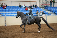 2020 - AB Morgan Horse - Sat, Sept 05 - 13579