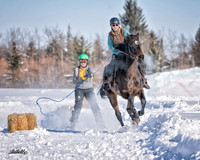 Skijordue - 8971