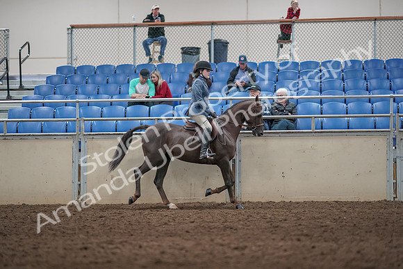 2019 Morgan Horse Show - Aug 31, 2019 - 07406