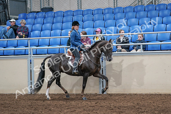 2020 - AB Morgan Horse - Sat, Sept 05 - 05092