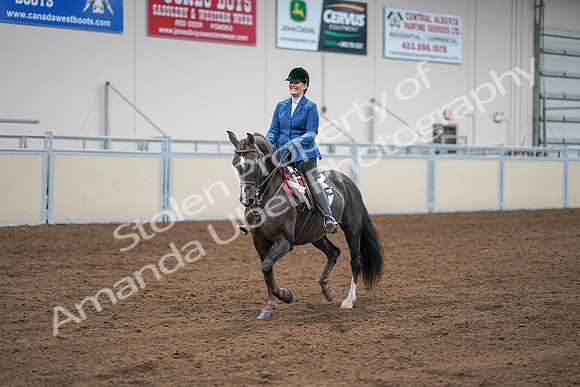 2020 - AB Morgan Horse - Sat, Sept 05 - 05256