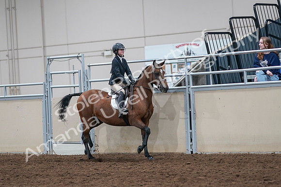 2020 - AB Morgan Horse - Fri, Sept 04 - 02172