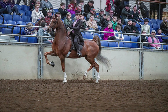 Spring Fling - Saturday - April 20, 2019  -  00472
