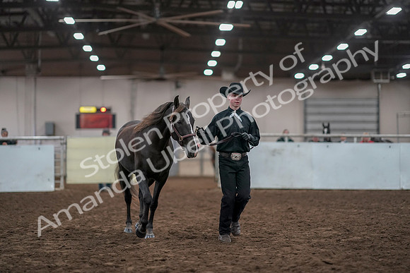 2019 Morgan Horse Show - Aug 31, 2019 - 01907