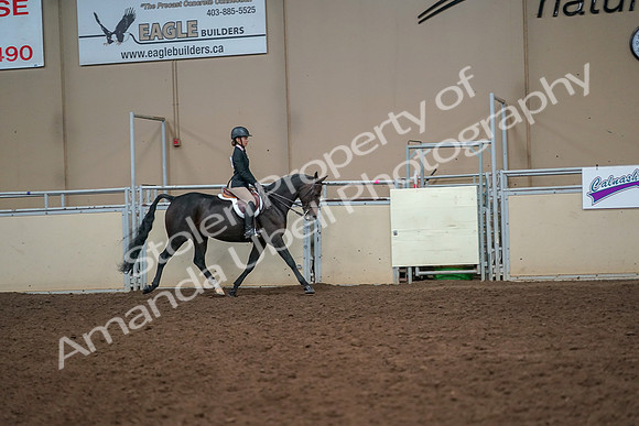 2019 Morgan Horse Show - Aug 30, 2019 - 12357